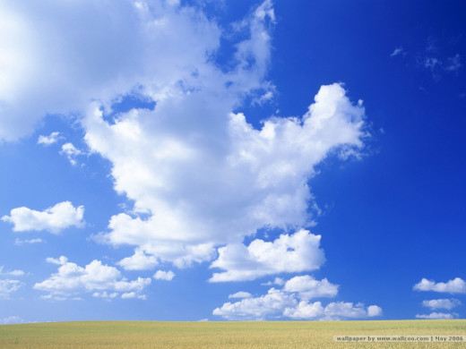 25005 (a): :1024x768